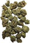 Sour Chocolate Diesel