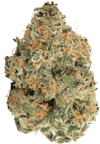Sour Cherry Punch