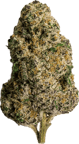 Sunset Sherbert