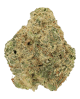 Sour Kush
