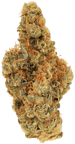 Ring of Sour