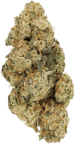 Durban Poison
