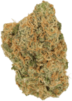 Gelato Dream