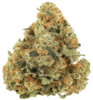 Girl Scout Cookies