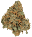 Sky Berry Kush