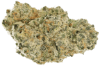 Polar Cookies