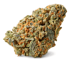 White Widow