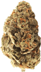 Amnesia Skittlez