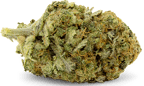 Mango Kush