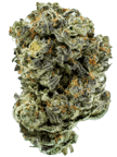 Dante'z Inferno (Oreoz x Devil Driver)