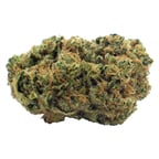 Blood Orange Kush