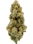 Pablo's Revenge (Animal Mints x Sherb Cake)
