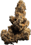Chemdawg Cookies