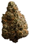 Minty Cookies