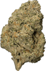 Black Cherry Punch