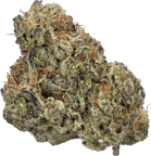 Crispy Doughnut