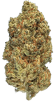 Pink Kush