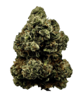 Chem Dawg OG