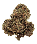 ZOSA