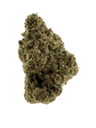 Gazzy