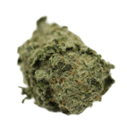 Blueberry
