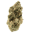 Critical 47