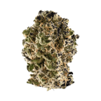 GMO x Gush Mints