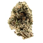 Animal Cookies x Sinmint Cookies