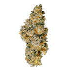 98 Aloha White Widow × Trainwreck
