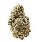 Siggis Waldmeister