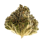 Crumbled Lime #27