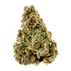 GMO Cookies x Kush Mints