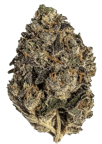 Peach Gelato