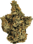 Tres Dawg x I-95