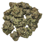 Lemon Berry OG