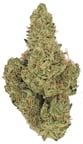 UK Original Cheese x Chemdawg