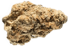 Royal Gorilla