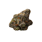 Super Boof