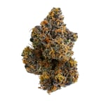 Rainbow Sherbert #11