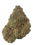 Apricot Mints