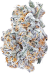 Blueberry Yum Yum