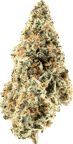 Han Solo Burger x GMO