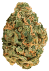 OG Lime Kush