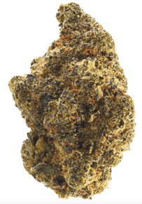 Gelato x Orange Cake