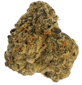 Hawaiian Faanta 30/1