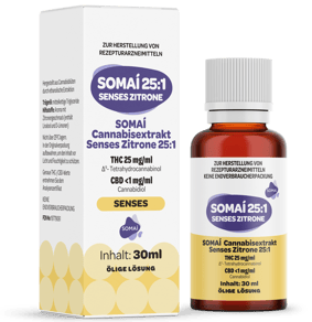 SOMAI Senses Zitrone 25:1