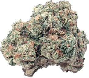 Purple Punch x Jungle Cake