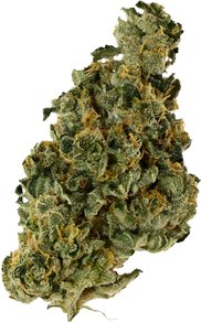 Wedding Cake X Jet Fuel Gelato