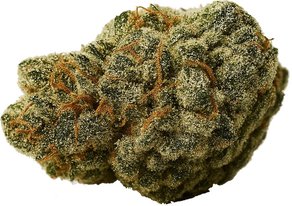 Cold Dank x Jelly Breath