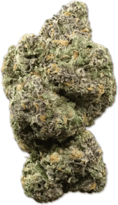 Hawaiian Rain X Permanent Marker